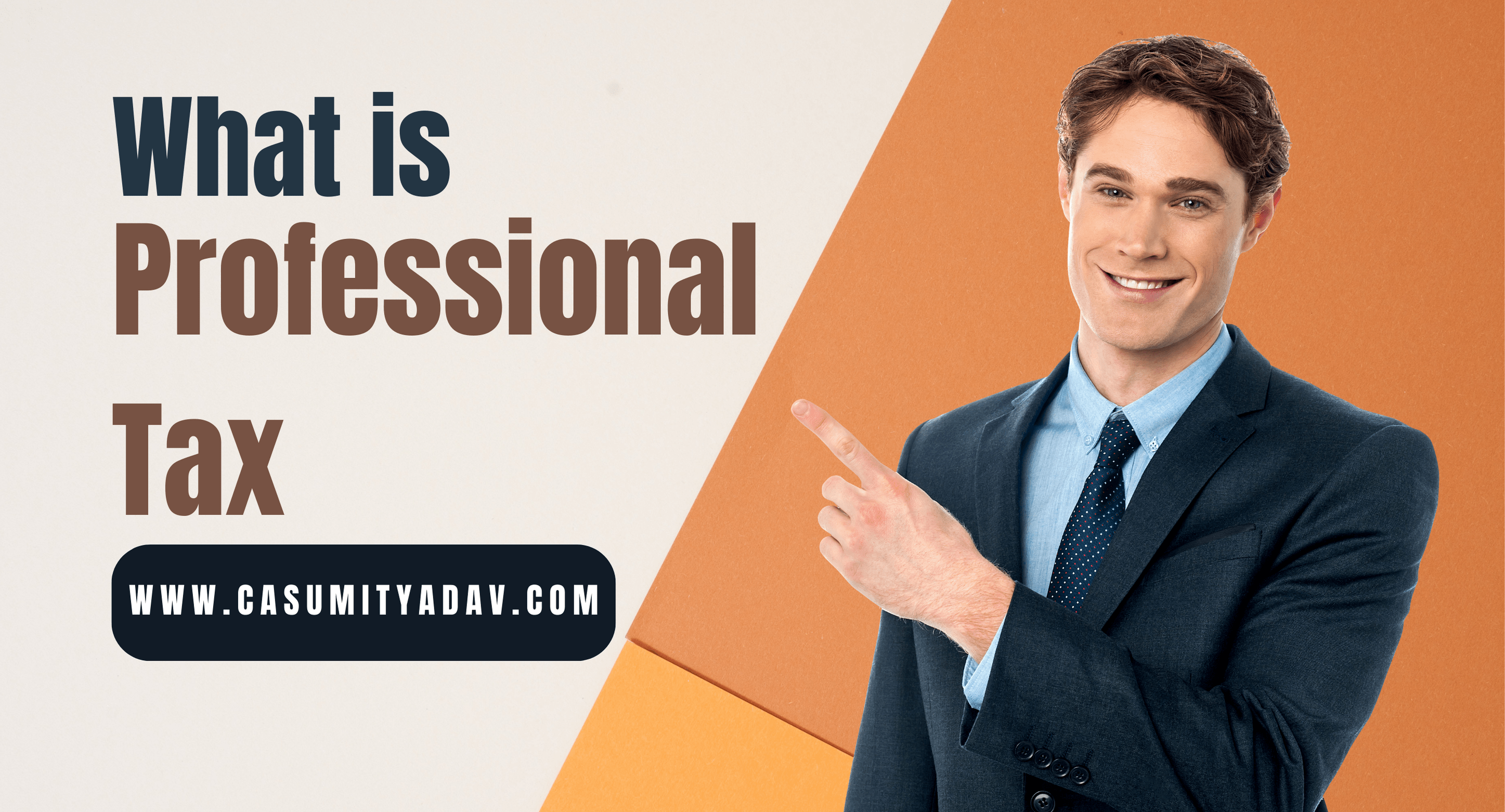 WHAT IS professional tax